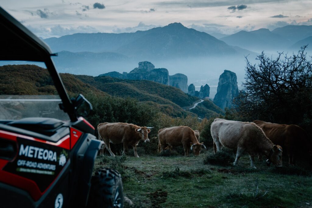 2025-12 Off Road Meteora-10