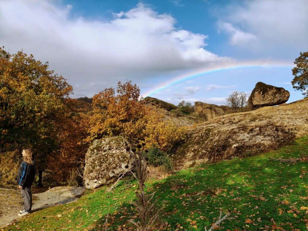 WhatsApp Image 2025-11-20 at 3.19.22 PM (2)