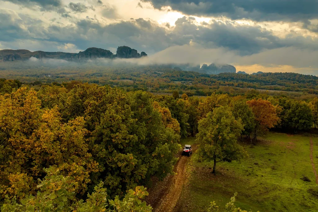 DJI_20251118080922_0016_D