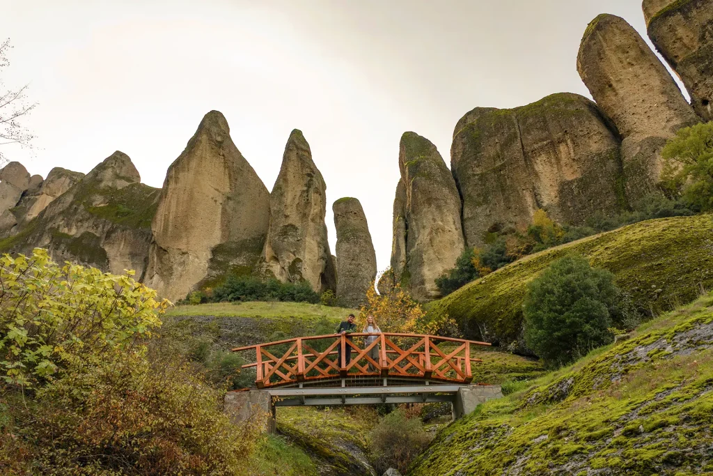 DJI_20251118110100_0086_D