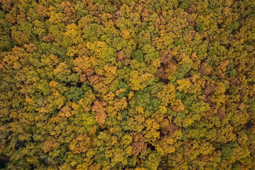 DJI_20251118145223_0271_D